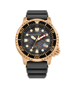 Reloj Citizen BN0163-00H promaster hombre