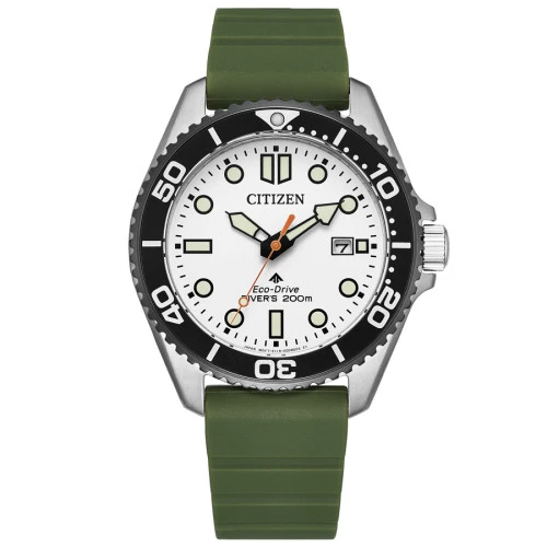 BN0265-00A promaster verde